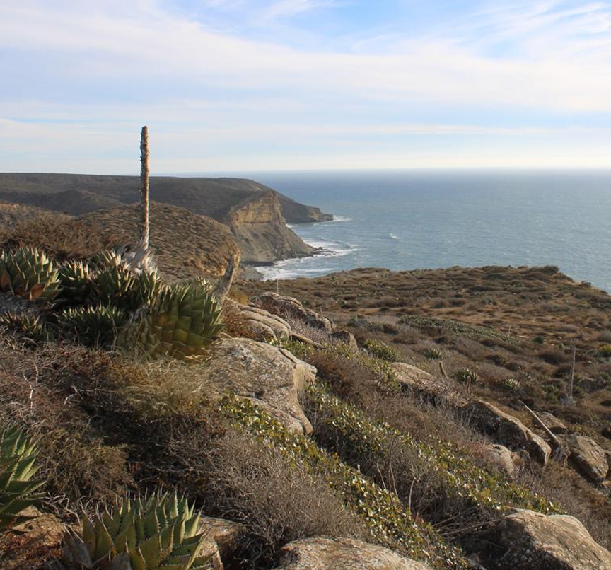 Santo Tomas Coastline